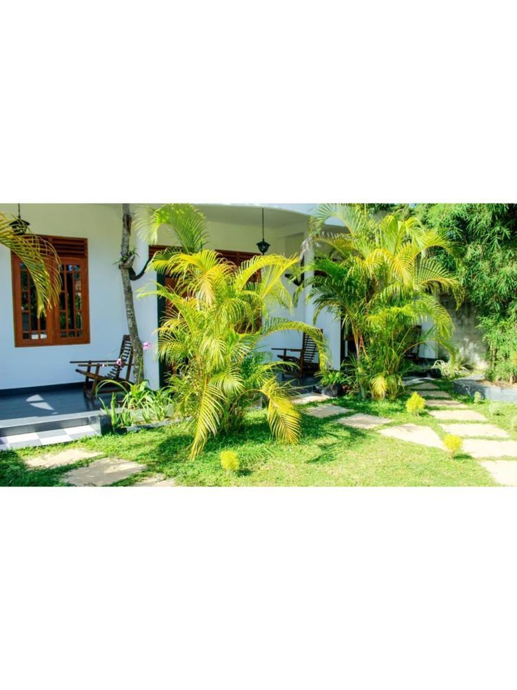 Orchid Rest Hotel Mirissa Bagian luar foto